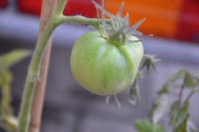 Ensalada De Cous Cous