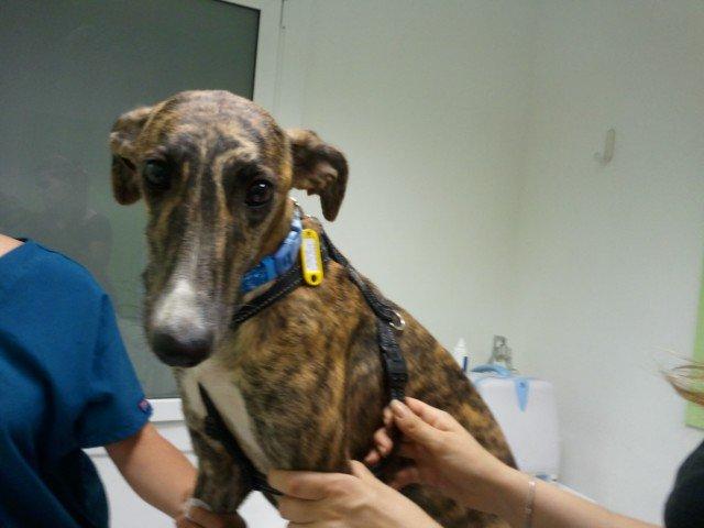 Fuera del zulo!!!!!!!!!