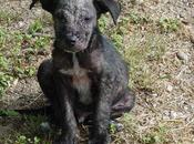 historia para reflexionar