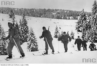 Operación Zorro de Plata (Silberfuchs): Gebirgsjäger en el Ártico – 29/06/1941.