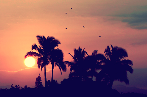 Tumblr_ll18dipur61qf1zeso1_500_large