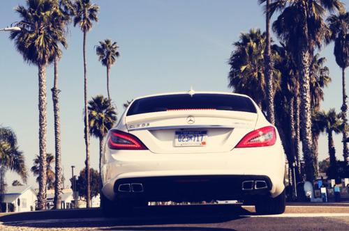 Tumblr_ljcb5rfsij1qii8o7o1_500_large