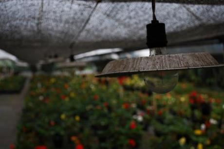 El futuro pertenece a la agricultura orgánica