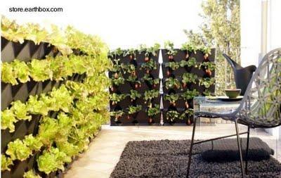 Jardines pequeños verticales Jardines pequeños verticales