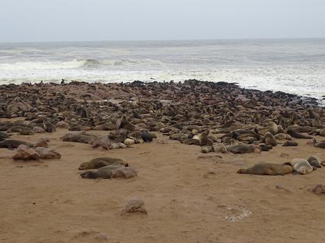 NAMIBIA: SKELETON COAST Y CAPE CROSS