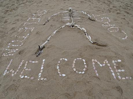 NAMIBIA: SKELETON COAST Y CAPE CROSS