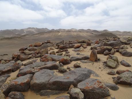 NAMIBIA: SKELETON COAST Y CAPE CROSS