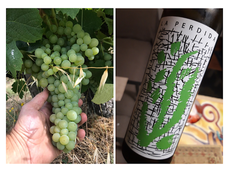 Semana Santa Semana Santa