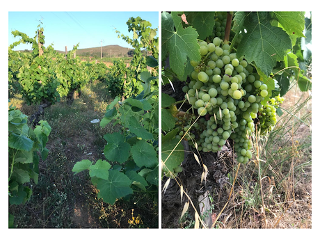 Semana Santa Semana Santa