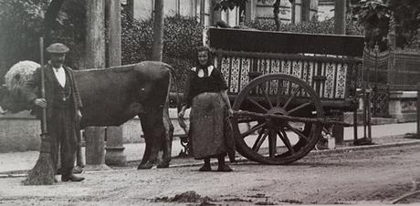 Carreta de bueyes en la calle Menéndez Pelayo