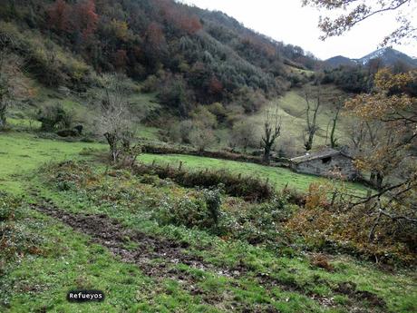 Piedracea-L´Escureo Brañavalera-Alto la Cobertoria