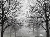 London (London Underground-Regent´s Park): Quite