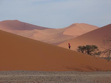 NAMIBIA: LAS DUNAS DEL NAUKLUFT NATIONAL PARK