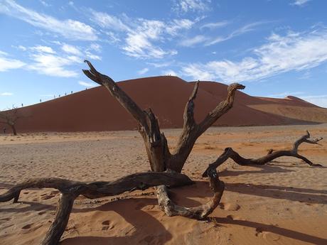 NAMIBIA: LAS DUNAS DEL NAUKLUFT NATIONAL PARK