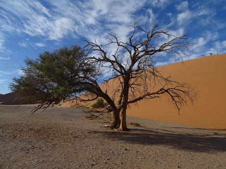 NAMIBIA: LAS DUNAS DEL NAUKLUFT NATIONAL PARK