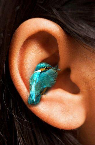 ¿? THAT IS THE QUESTION ¿?