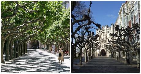 Qué ver en Burgos