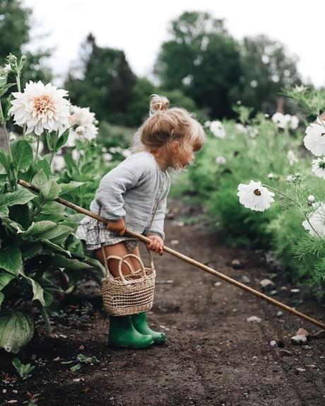 De vuelta en medio de todo este caos