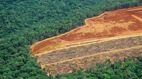 Ecofascismo en tiempos de Coronavirus