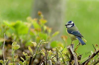 10º ANIVERSARIO DESDE EL CONFINAMIENTO