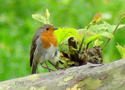 10º ANIVERSARIO DESDE EL CONFINAMIENTO