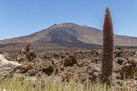 Ruta de Los Tajinastes Rojos Valle de Ucanca