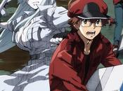 anime ''Hataraku Saibou Black'', desvela Visual