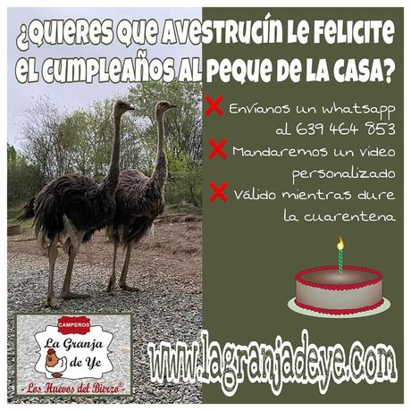 ¿Quieres que un avestruz te felicite el cumpleaños? La divertida iniciativa de ‘La Granja de Ye’ para los niños