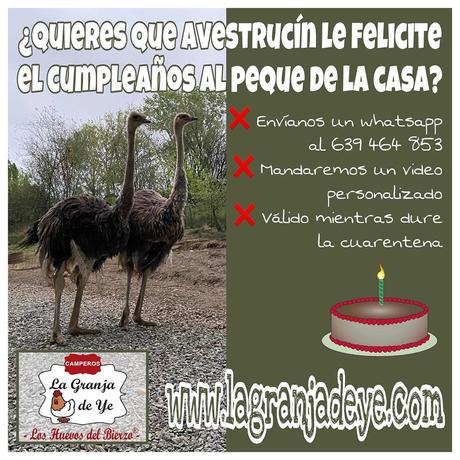 ¿Quieres que un avestruz te felicite el cumpleaños? La divertida iniciativa de ‘La Granja de Ye’ para los niños ¿Quieres que un avestruz te felicite el cumpleaños? La divertida iniciativa de ‘La Granja de Ye’ para los niños
