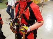 Descubriendo G.E.V.: Pablo