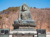 Invitación Zazenkai abril 2020