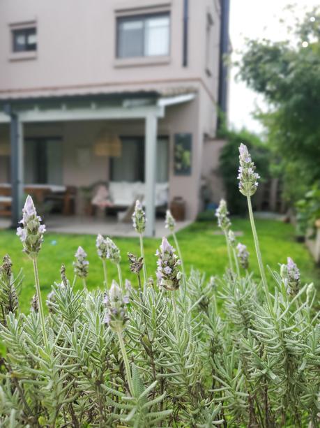 Mi postigo portamacetas y su nuevo color