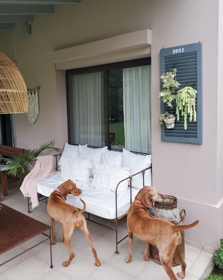 Mi postigo portamacetas y su nuevo color