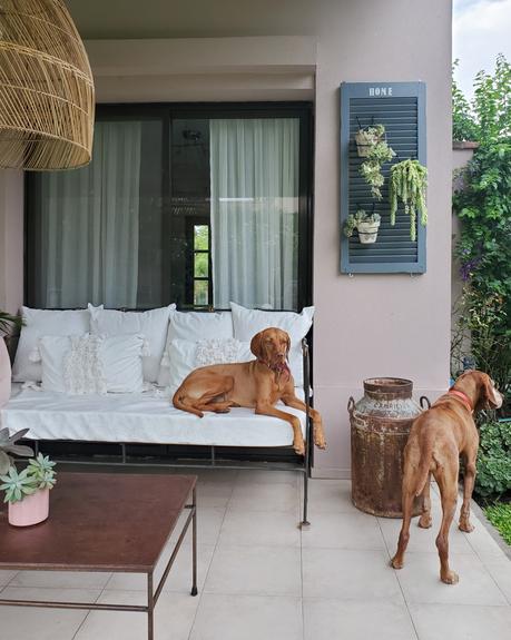 Mi postigo portamacetas y su nuevo color