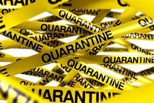 Esta España nuestra: Seguimos en vilo, porque el COVID-19 se resiste, no se vislumbra el final del confinamiento y nos manipulan y engañan con el estado de alarma.