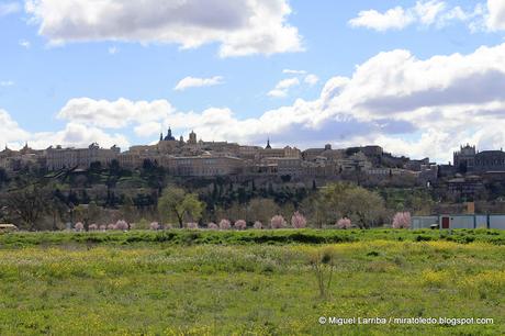 Las vetustas casas renovaban su adorno de parásitos y la ...
