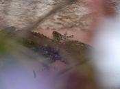 Crónicas mundanas COVID-19 (D33)