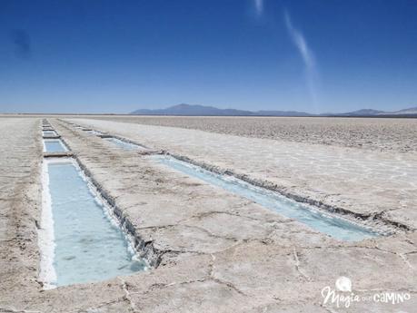 Qué hacer en la ciudad de Salta, norte argentino