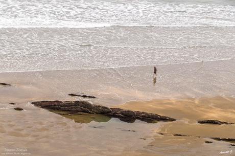 ITZURUN. ZUMAIA. GUIPÚZCOA