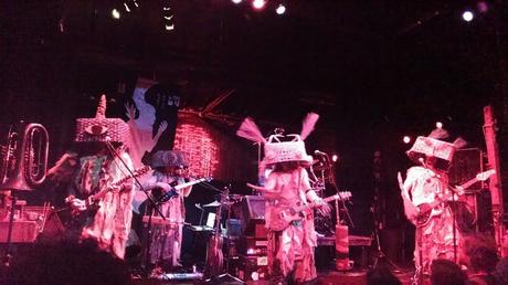 Free Salamander Exhibit - Undestroyed (2016)