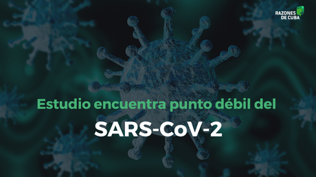 Estudio encuentra punto débil del coronavirus