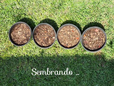 Mercedes recoge el guante del #FourRingsChallenge lanzado por Audi