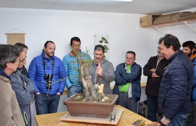 Andrés Bicocca en la asociación Bonsai del Vallès.