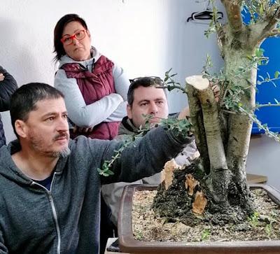 Andrés Bicocca en la asociación Bonsai del Vallès.