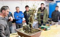 Andrés Bicocca en la asociación Bonsai del Vallès.