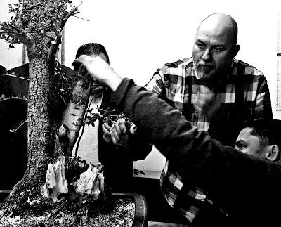 Andrés Bicocca en la asociación Bonsai del Vallès.