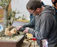 Andrés Bicocca en la asociación Bonsai del Vallès.