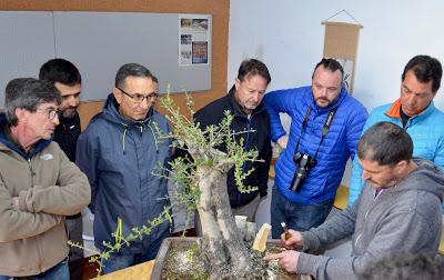 Andrés Bicocca en la asociación Bonsai del Vallès.