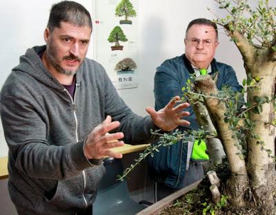 Andrés Bicocca en la asociación Bonsai del Vallès.