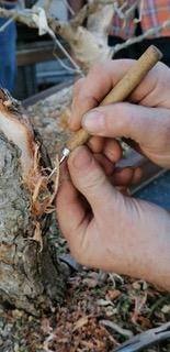 Andrés Bicocca en la asociación Bonsai del Vallès.